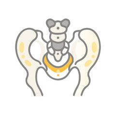 Anatomical illustration: stylized pelvic bone structure on black background