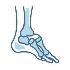 Obraz premium Flat illustration of human foot bones on black background