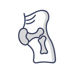 Simple bone graphic for medical education and presentation use