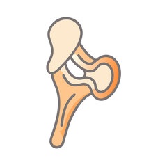 Vector art illustration showing a femur bone structure design