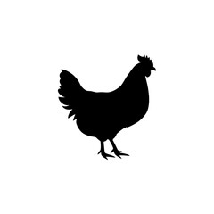hen silhouette vector , hen on white background