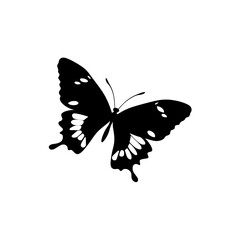 butterfly silhouette vector , butterfly on white background