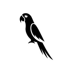 parrot silhouette vector , parrot on white background 