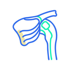 Colorful anatomical shoulder illustration on a black background