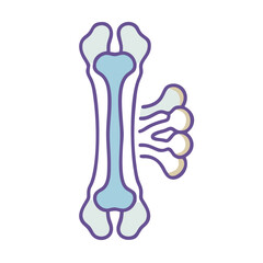 Stylized bone vector graphic on a black background