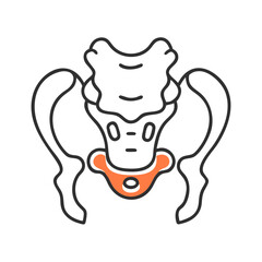 Minimalist illustration of human pelvic bone anatomy on black
