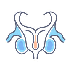 Abstract graphic of anatomy in light blue and grey