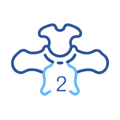 Stylized illustration of a spinal vertebra anatomy isolated design