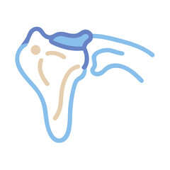Stylized graphic of shoulder joint in light blue hues