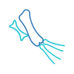 Minimalist abstract illustration of skeleton hand on dark backdrop