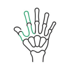 Hand skeleton with green index finger, anatomy illustration