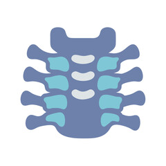 Simple illustration of a cervical vertebra against black background