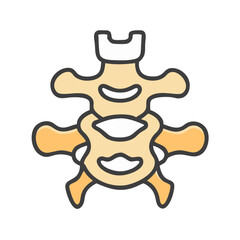 Illustration of human vertebrae isolated on black background