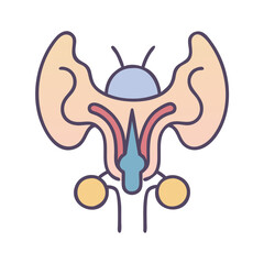 Minimalistic anatomical illustration of pituitary gland on black background