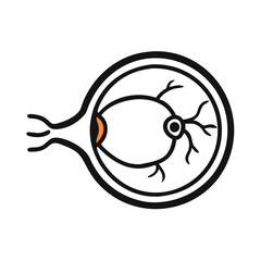 Schematic eye diagram showcasing human eye anatomy and function