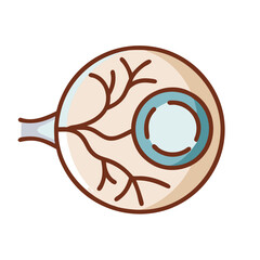 Cartoon Eye Anatomy Illustration With Flat Colors on Black