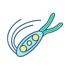 Illustration of a colorful stylized prokaryote cell with flagella