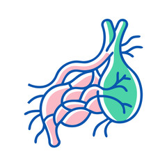 Stylized human anatomical structure illustration over black background