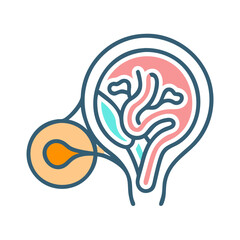 Diagram of nephron anatomy with bold outlines on black background