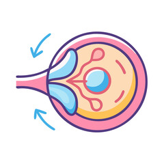 Colorful illustration of eye anatomy with fluid movement depicted
