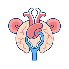 Kidney and vascular anatomy medical illustration on black background