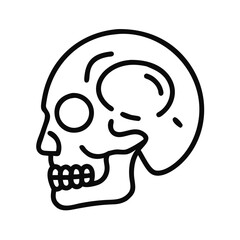 Minimalistic line art illustration of a human skull outline