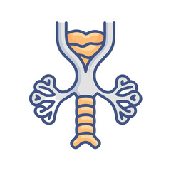Anatomical diagram of the human larynx trachea and bronchi