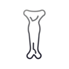 Stylized image of a human long bone in grey