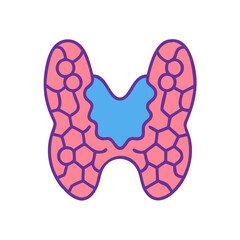 Anatomical thyroid gland in medical flat vector illustration
