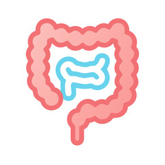 Human colon and small intestine anatomical illustration, health diagram