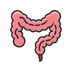Illustration of a human colon on a black background