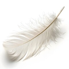 Obraz premium White Feather Isolated on White, Soft Feather PNG, Light Floating Feather Element