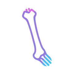 Isolated bone vector design on black background for medical use