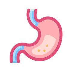 Obraz premium Stylized human stomach illustration with basic internal structure visible