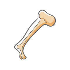 Cartoon bone illustration on a solid black background image