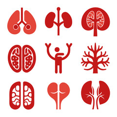 Red anatomical organs icon set on white background