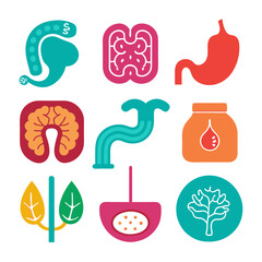 Flat vector icons of different human organs and systems