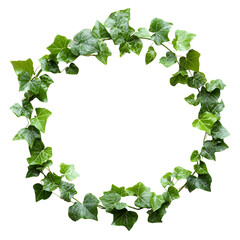 Ivy leaves circle frame natural greenery background