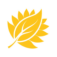 A close up of a leaf on a black background vector illustration