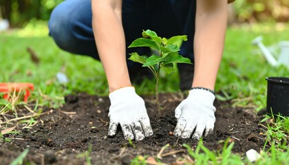 Fototapeta premium Roots of the Future