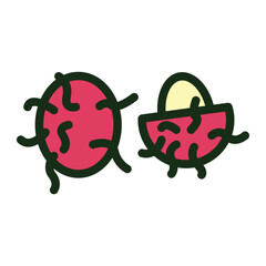Rambutan Fruit  Icon