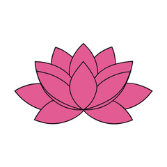 Obraz premium Lotus flower petals on white background vector illustration