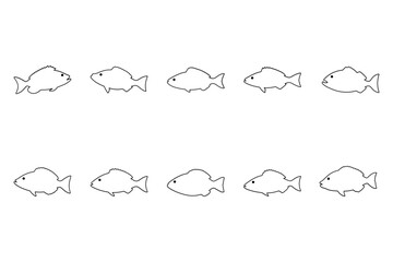 Halibut Fish Outline Icon Set