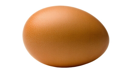 Single brown egg, whole, isolated against black background.  Egg shell has a textured surface