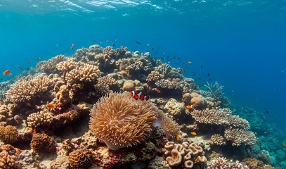 Underwater view of vibrant coral reef ecosystem with clownfish swimming among anemones, colorful tropical fish, and clear blue ocean in a thriving marine habitat.