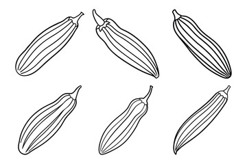 Okra stencil Vegetable line icon set vector illustration design with white background