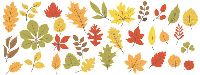 Set of autumn leaves from different trees, oak, maple, chestnut. Simple, yellow, red, orange fall leaf set for pattern, banner, sticker, Hello autumn card. Flat vector illustration on white background