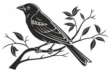 tanager sihouette black vector white