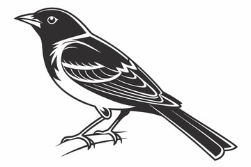 Fototapeta premium tanager sihouette black vector white