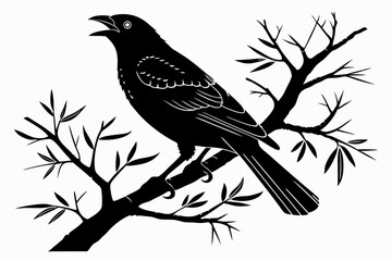 tanager sihouette black vector white